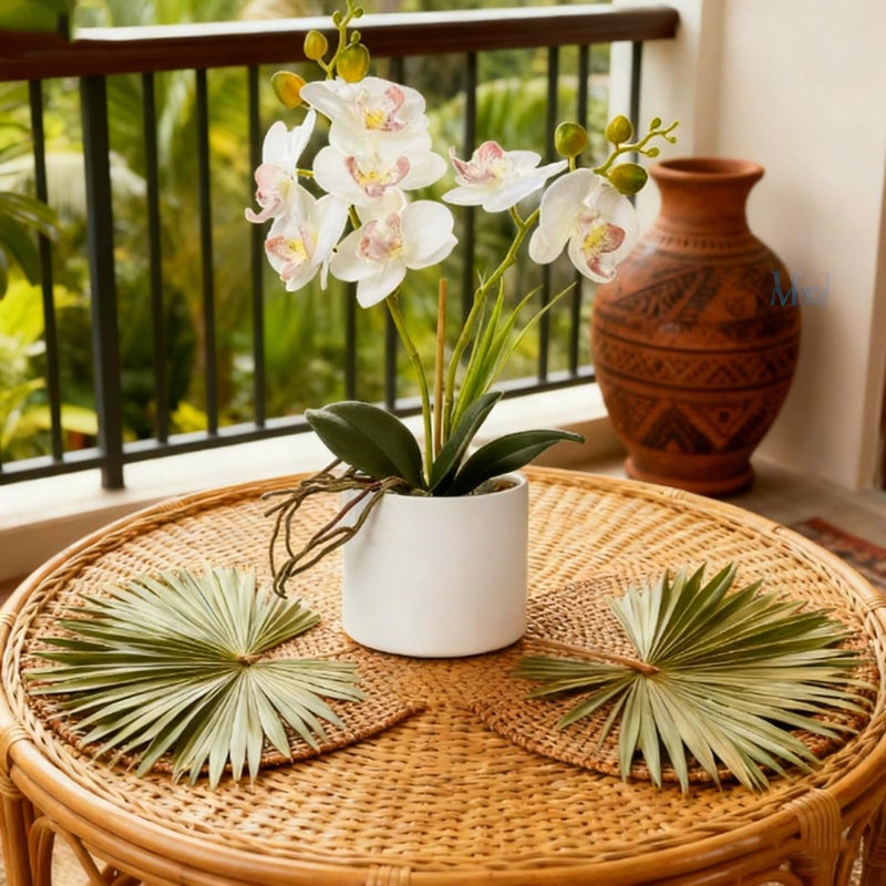 Jusdreen Artificial White Orchid in Ceramic Pot, Realistic Phalaenopsis Arrangement with Potting for Home Office Table Decor, 14.5 Inch Flower Centerpiece - Image 5